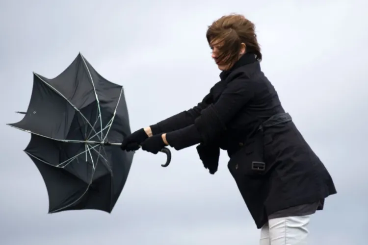 Clujul, lovit de rafale puternice de vânt: COD GALBEN emis de ANM, iar zona montană din Apuseni intră sub Cod portocaliu cu vânt de până la 120 km/h