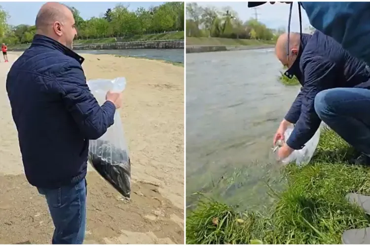 VIDEO. Gest de urmat pentru echilibrul Someșului, chiar lângă Cluj-Napoca: viceprimarul Dan Tarcea participă la repopularea râului cu păstrăv