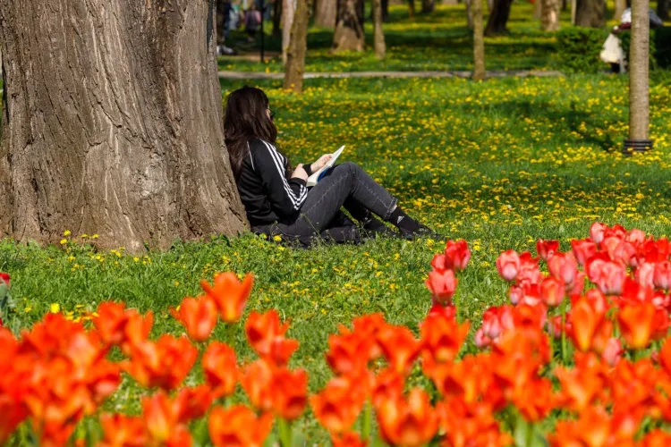 Weekend cu vreme perfectă la Cluj: Temperaturi în creștere, cer senin și condiții ideale pentru activități în aer liber