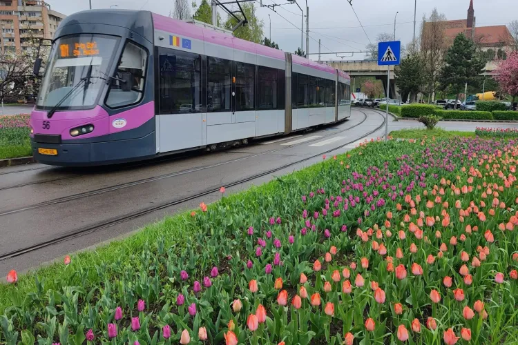 Clujul intră în febra fotbalului! CTP prelungește programul autobuzelor, troleibuzelor și tramvaielor pentru cele două derby-uri uriașe ale săptămânii
