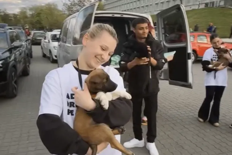 VIDEO. Fotbaliștii de la U Cluj au intrat pe teren cu câini de adăpost! Primăria lansează o campanie inedită de adopție în Cluj-Napoca