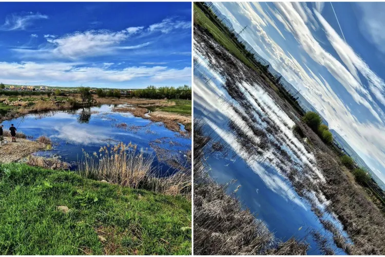 Locul din Cluj care rivalizează ca frumusețe cu Delta Dunării. Puțini știu de existența lui, cu toate că se află la marginea unui oraș 