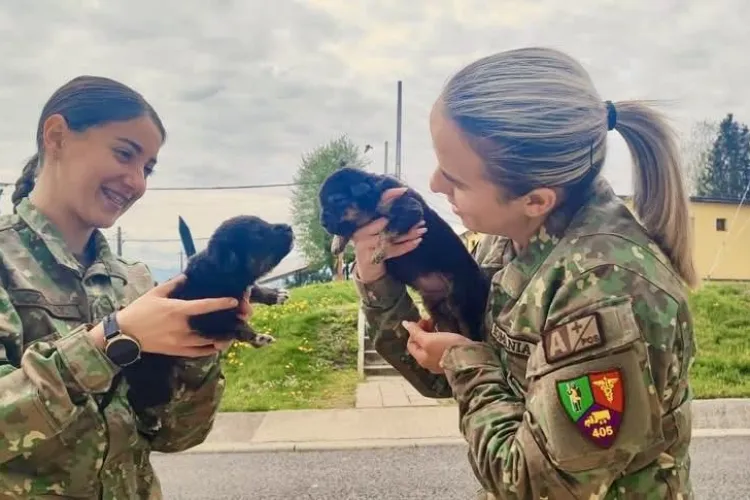 Dincolo de uniformă: gest impresionant al unor femei militar care au devenit „mame” pentru doi cățeluși rămași orfani FOTO 