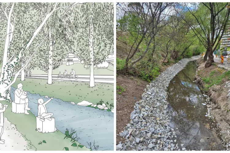 Revoltă în Cluj-Napoca: Lucrările de pe Canalul Morii din Parcul Rozelor, arătate cu degetul de activiști. „Este o soluție greșită și inutil invazivă”