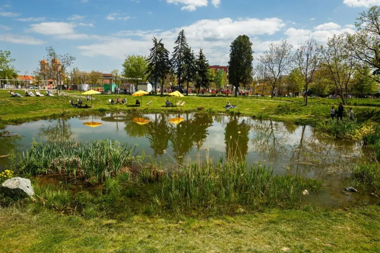Vreme perfectă la Cluj! Soare, temperaturi plăcute și un început de săptămână ca de vară. Temperaturile scad, totuși, în curând