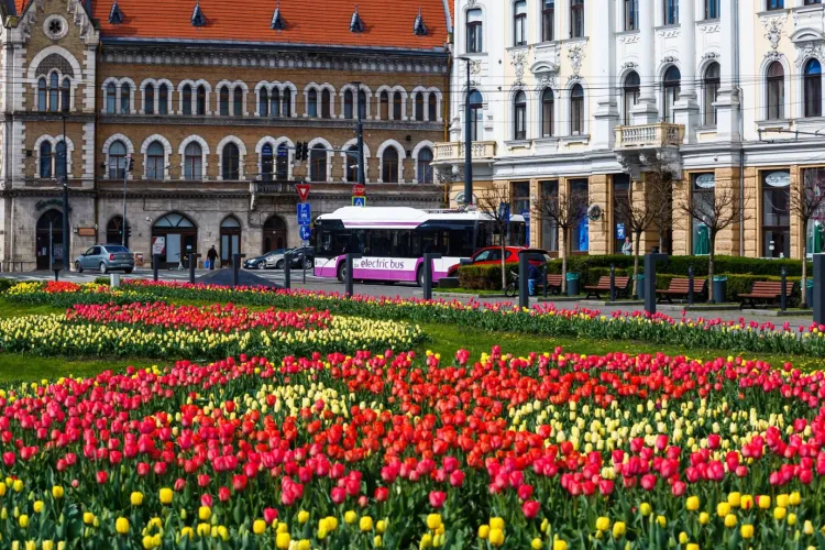 Transport special de 1 Mai la Cluj! Program schimbat, curse spre Cheile Turzii și autobuze prelungite pentru meciul de pe Cluj Arena