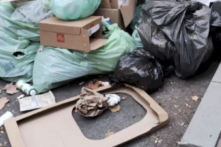 Oameni ai străzii umblă prin gunoaie și le împrăștie peste tot! O stradă din Cluj, transformată zilnic în groapă de gunoi: „Trebuie închise containerele”