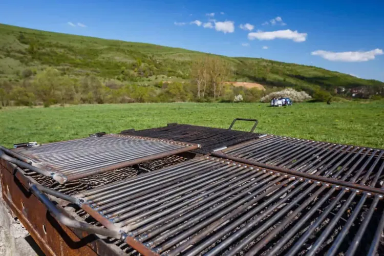 Clujeni, aveți mare grijă unde ieșiți la iarbă verde! „Legea grătarului” vă poate face să scoateți mii de lei din buzunar pentru amendă