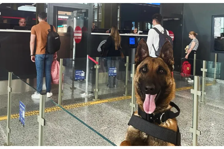 Noul „angajat” de la Aeroportul Internațional „Avram Iancu” Cluj a devenit viral: „Atenție, pasageri!” 