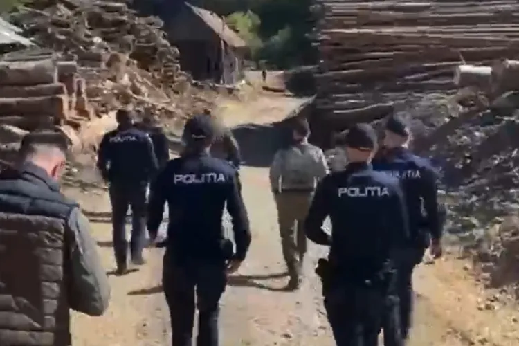 VIDEO. Hoții de lemn își fac de cap în Cluj. Descindere a polițiștilor la un depozit unde au fost găsite nereguli grave. Prejudiciu de peste 100.000 de lei