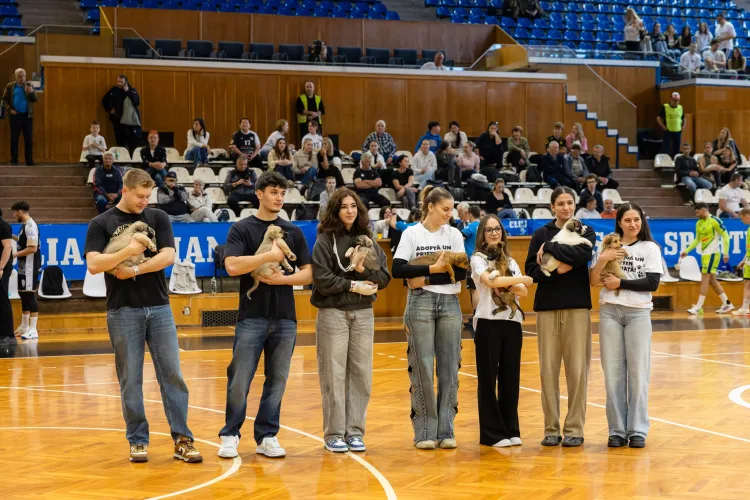 Veste minunată! Campania „Adoptă un prieten pe viață” este considerată un succes. Câți câini au fost deja adoptați cu ajutorul celor implicați în program