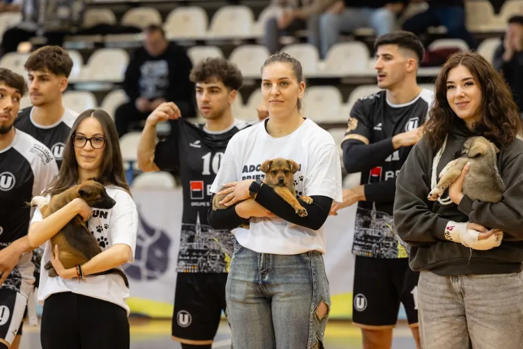 Emoție la BTarena! Baschetul clujean intră în campania „Adoptă un prieten pe viață”, iar câinii fără stăpân ajung în fața miilor de suporteri