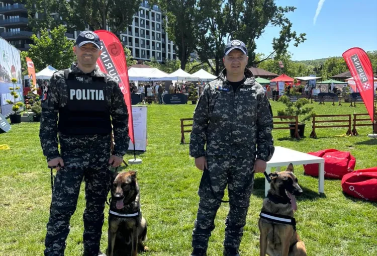 0b2fd7ce60e16bda4d7c42aa258033c8.jpg