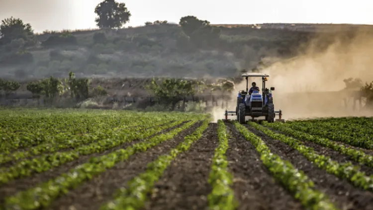 8a7ca3c06e26c59ec9bc65cd1a903f26.jpg