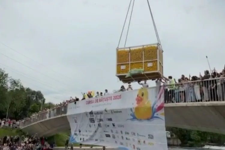 Spectacol inedit în Cluj-Napoca! A început Cursa de Rățuște 2026 pe Someș. Sute de Clujeni s-au adunat pentru acest eveniment inedit - VIDEO