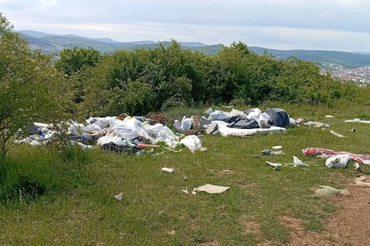 Mizerie de nedescris lângă Cluj-Napoca! Pădure transformată în groapă de gunoi în Florești: „Băi, chiar nu îi vede nimeni pe oamenii ăștia?” - FOTO