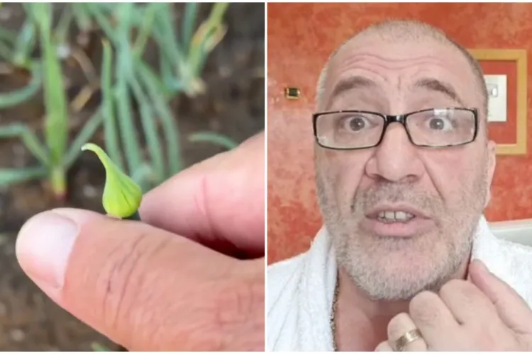 VIDEO. Nelson Mondialu s-a apucat de agricultură, dar cere ajutorul românilor după ce culturile i-au dat bătăi de cap: „Așa în vârf, ce-s astea? Uitați”