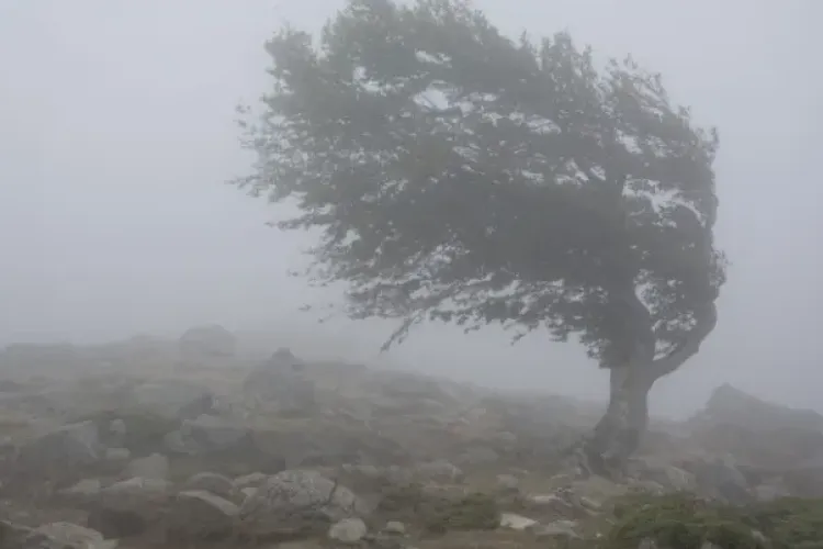 Cod galben la Cluj. Meteorologii anunță intensificări ale vântului în acest weekend