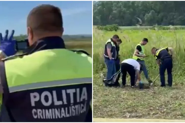 Descoperire șocantă pe câmp. Un fermier a găsit un craniu de om și un picior. La fața locului a ajuns o armată de polițiști și criminaliști 