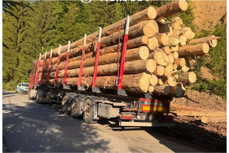 Control în Cluj! Amendă de mii de lei după nereguli descoperite la un transport de lemne