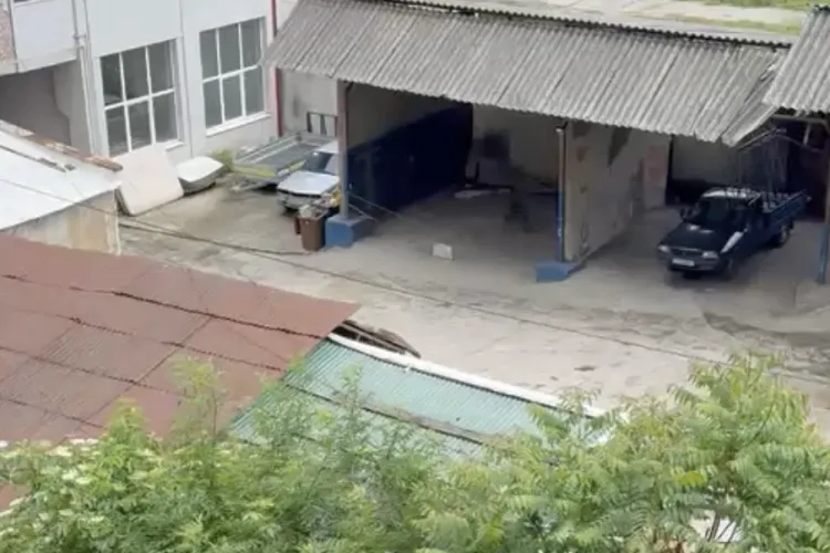 VIDEO. Scene care îți frâng inima într-o curte din Cluj: Un câine latră ore în șir, închis într-un garaj: „A plâns de dimineața până seara”