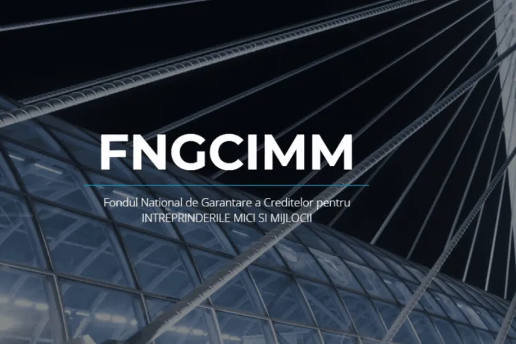 FNGCIMM anunță lansarea proiectului Garanție de portofoliu plafonată combinată cu sprijin sub forma de grant într-o operațiune unică din contribuție
