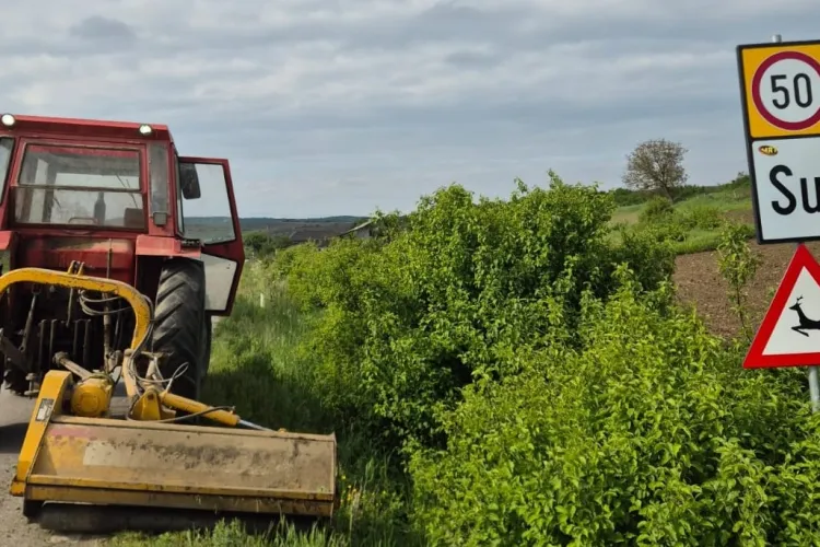 Consiliul Județean Cluj curăță vegetația de pe aproape 900 de kilometri de drumuri județene. Contractele cu firmele executante, semnate
