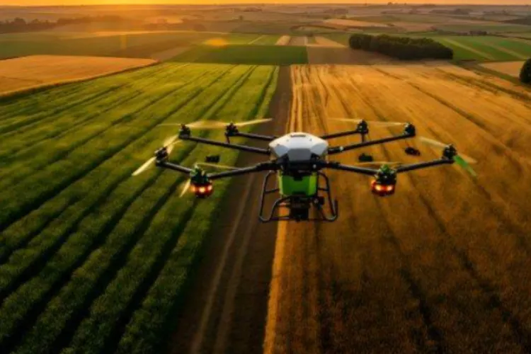 România și alte 15 state cer mai mulți bani de la UE pentru agricultură și dezvoltare regională