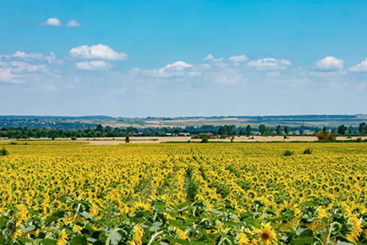 Vremea face ce vrea cu România! ANM anunță temperaturi cu 5 grade peste normal și ploi cu grindină, fulgere și rafale de vânt în aproape toată țara