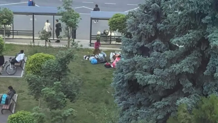 467080fcb91972eaa9224d1274960a21.jpg