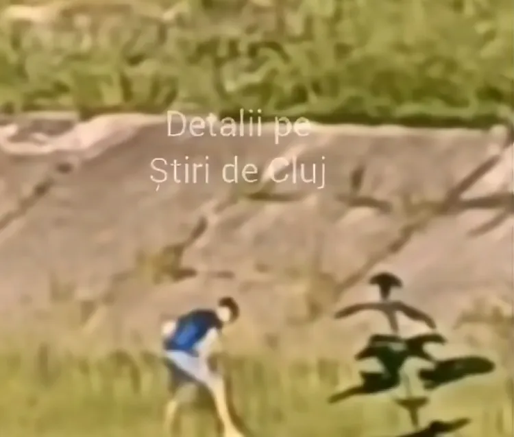 5a002b0c6e49fc7a7b70767017aa829a.png