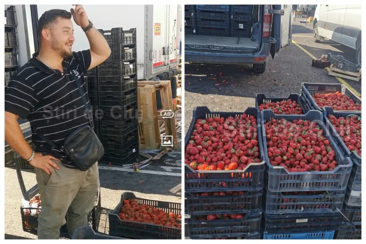 VIDEO. De unde poți cumpăra la Cluj căpșuni de Satu Mare la cel mai mic preț: 9 lei/kg: Este finalul sezonului, nu ratați ultimele căpșuni proaspete!