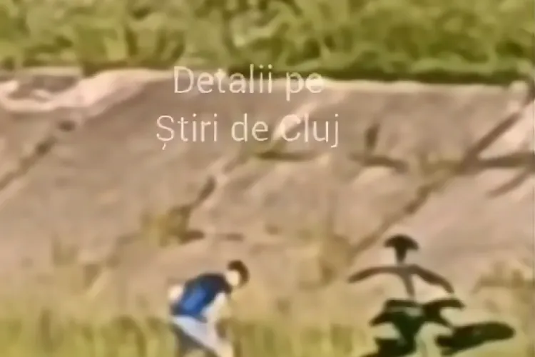 VIDEO. Scenă șocantă: Adolescent de 17 ani filmat lovindu-și câine cu brutalitate, cu picioarele. Scuza lui: Era nervos că trecătorii l-au atenționat!