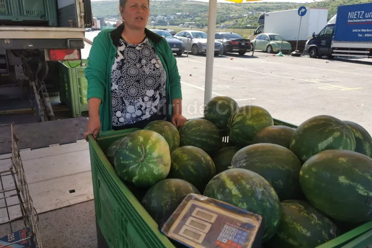 VIDEO. Primii pepeni de „Dăbuleni” au ajuns la Cluj din „patria” lubeniței din România. Cât costă și de unde puteți cumpăra la un preț imbatabil: 4 lei/kg!