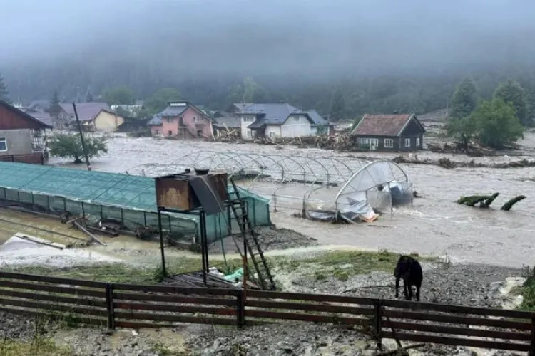 ALERTĂ de inundații în Cluj în acest weekend, pe Someșul Mic și Arieș. COD GALBEN care privește viituri rapide, torenți și scurgeri de pe versanți