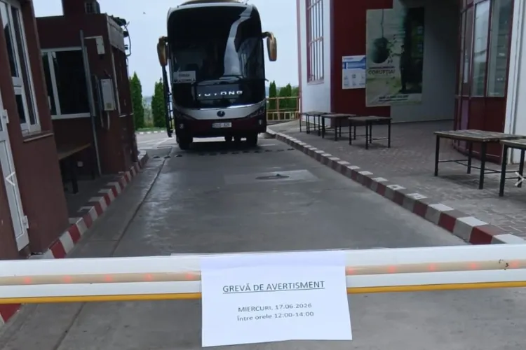 Vămile din România vor fi blocate! Angajații anunță grevă generală inclusiv în Portul Constanța. Sătui de promisiuni, profesorii ies și ei în stradă