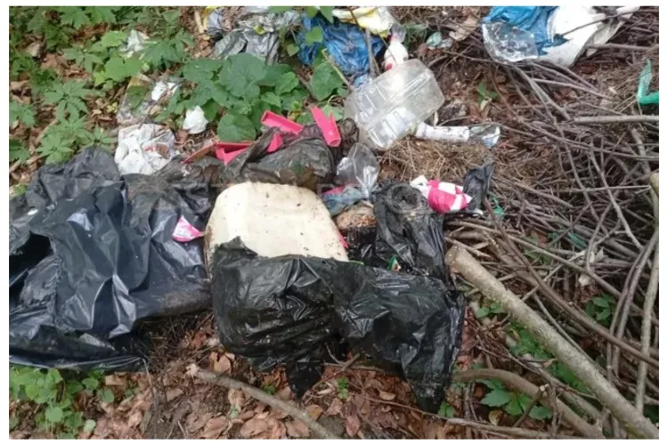 Rușine! O pădure dintr-o comună din Cluj a fost transformată în groapă de gunoi FOTO/VIDEO