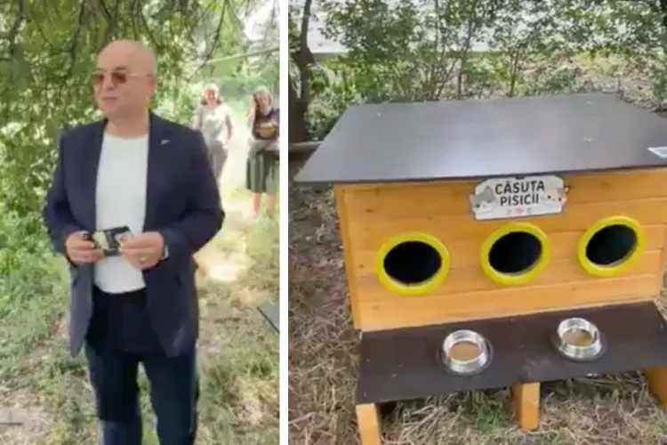 VIDEO. Primele căsuțe pentru pisicile comunitare din Cluj, instalate de Boc: Primăria oferă gratuit 80 de adăposturi asociațiilor de proprietari