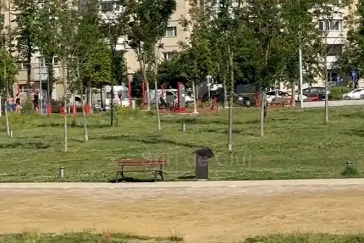VIDEO. Clujean surprins în timp ce își face nevoile în public, în plină zi. Ce părere aveți despre astfel de scene tot mai frecvente în oraș? 