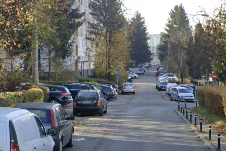 Alarmă atipică pentru clujeni! Un cocoș le distruge somnul în fiecare dimineață de la ora 5, iar vecinul refuză orice discuție