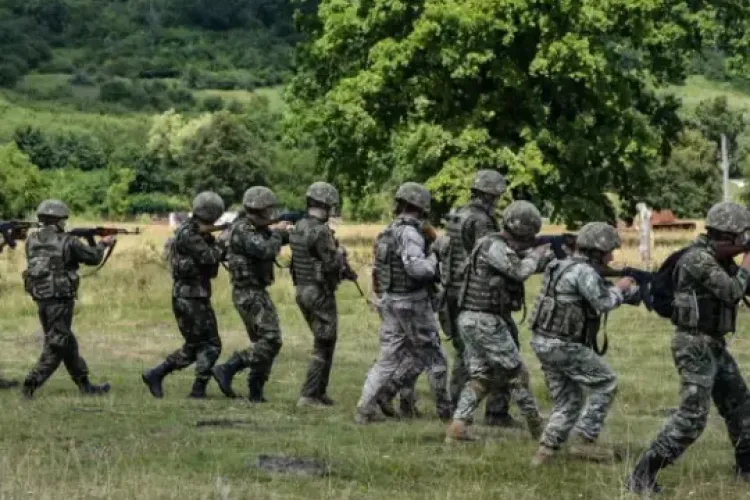 Țară, țară, vrem ostași! Armata Română face angajări masive! Aproape 7.000 de posturi, scoase la concurs în toată țara