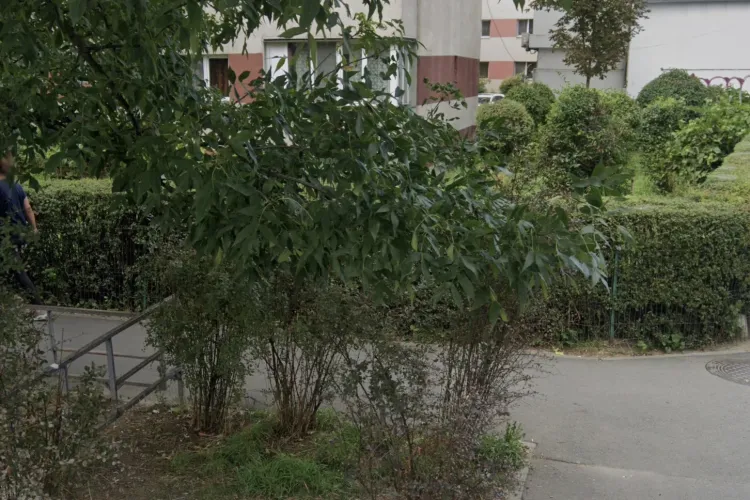 Strada din Cluj, transformată în groapă de gunoi: Deșeurile reapar după fiecare curățenie, iar locuitorii au ajuns la capătul răbdării!