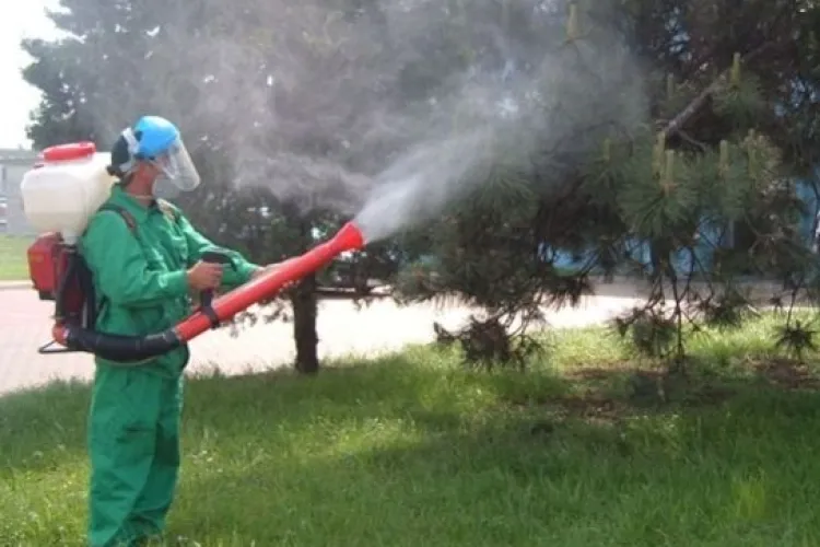 Veste bună pentru locuitorii din Apahida: Primăria stropește împotriva insectelor trei nopți la rând în Dezmir, Sânnicoara și alte șase localități