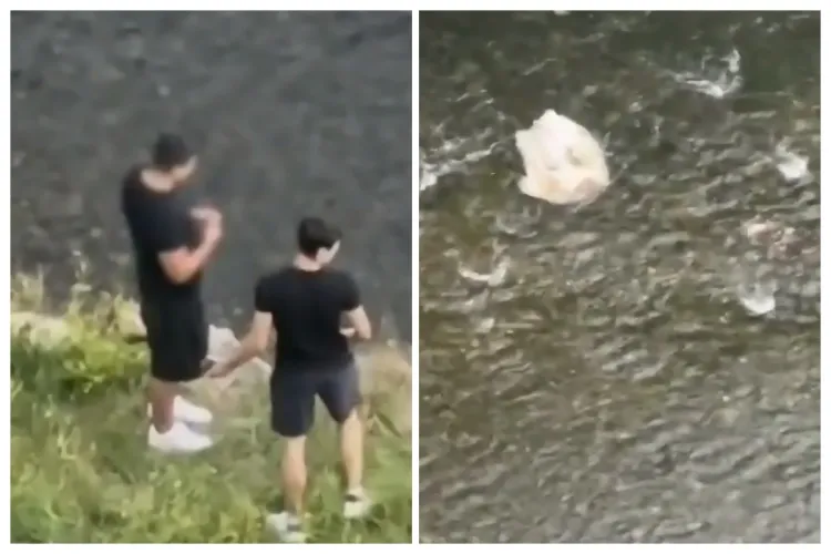 VIDEO. Cruzime fără motiv la Cluj! Doi tineri, filmați în timp ce aruncau cu pietre după rățuște: „Au nimerit una și nu mai putea înota. Probabil a murit”