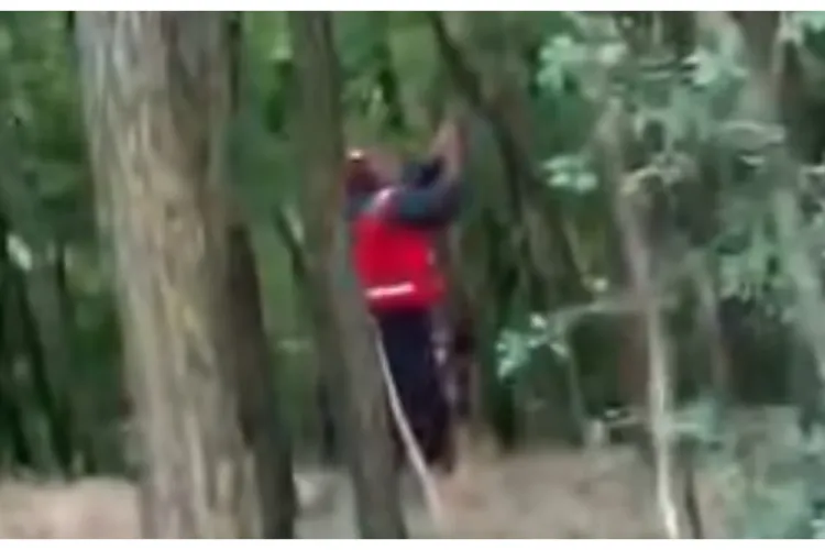 VIDEO. Scene greu de privit! Un câine, bătut cu o cruzime ieșită din comun într-o zonă împădurită: „Cruzimea împotriva animalelor nu trebuie ignorată”