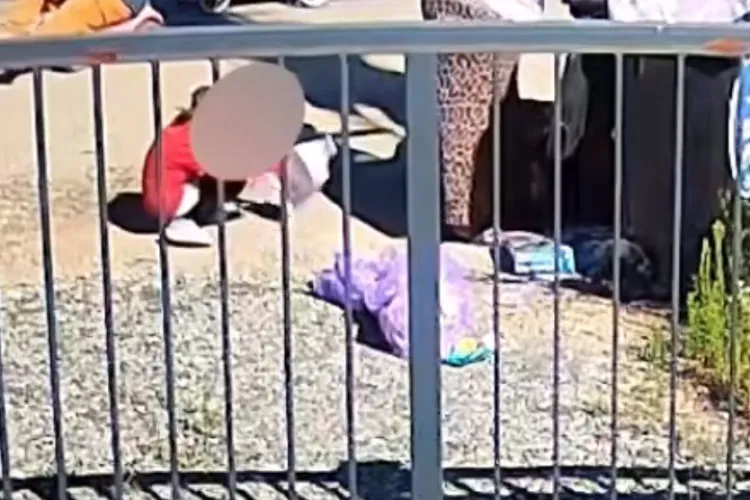 VIDEO. Imagini ce te vor întrista: Cu copiii după ei, o familie de clujeni merge din poartă în poartă după reciclabile.O realitate ce n-ar trebui să existe