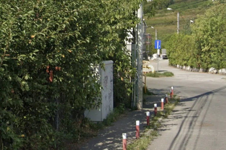Tufiș uriaș pe o stradă din Cluj-Napoca blochează trotuarul! „Nu poți trece nici cu căruciorul”: Ce spun cei care au reclamat problema