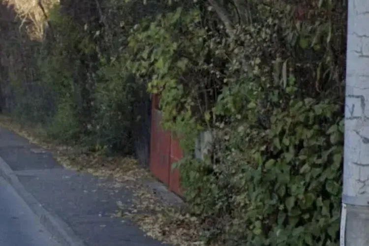 Probleme semnalate pe o stradă din Cluj-Napoca! Vegetația a ocupat trotuarul, iar oamenii cer intervenția autorităților