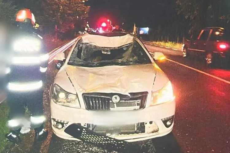 Accident grav la Cluj, un cal și două mașini implicate. O femeie de 30 de ani transportată la urgență. Calul, lovit în plin, a murit