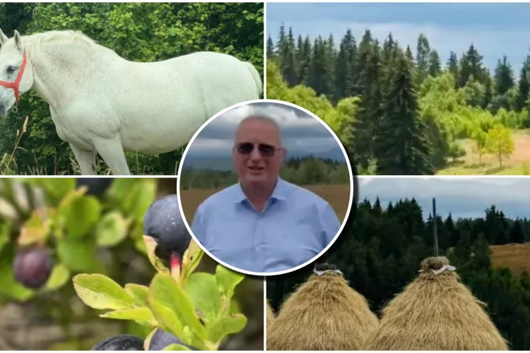 VIDEO. Cel mai frumos loc din România? Remus Lăpușan a ajuns deja acolo și îi invită pe turiști alături de el: „În toată zona sunt oameni deosebiți!”